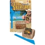 Pirate Treasure Chest Mini Dig