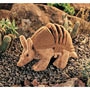 Armadillo
