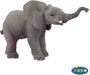 Baby Elephant