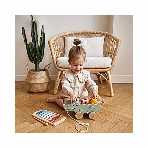 Croco Xylo Activity Pull Along Toy