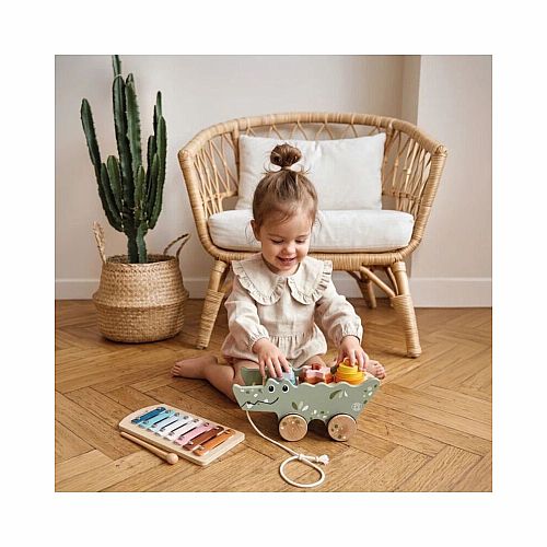 Croco Xylo Activity Pull Along Toy